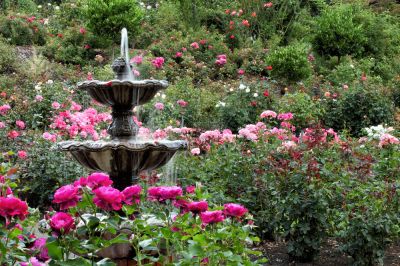 Fountain Repair