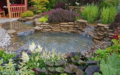 Pond Repair