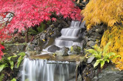 Waterfall Repair